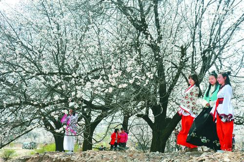 PA视讯游戏 真人荷官与游戏界面